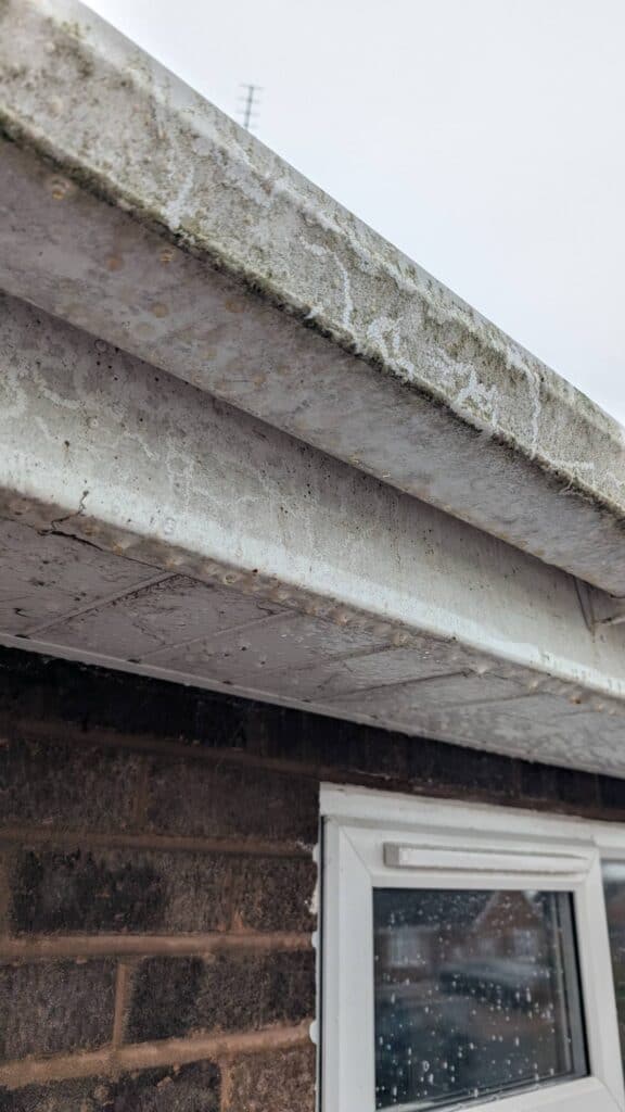 gutter cleaning services