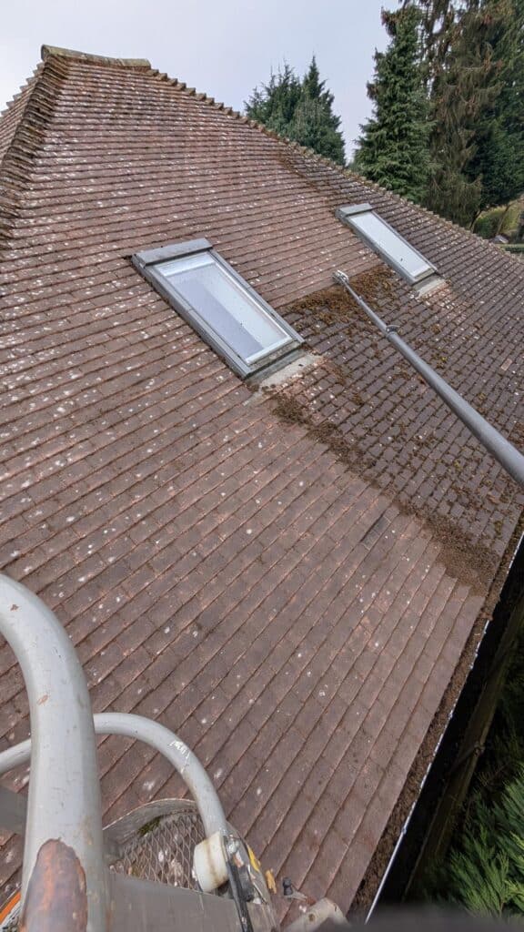 roof cleaning methods - blades and wire brushes