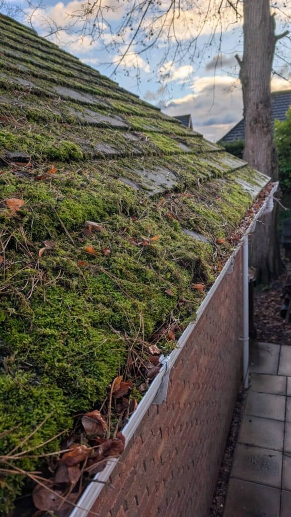 professional gutter cleaning company