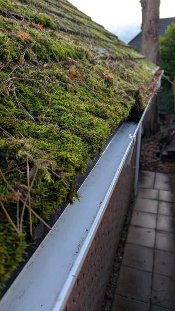 gutter cleaning and restoration