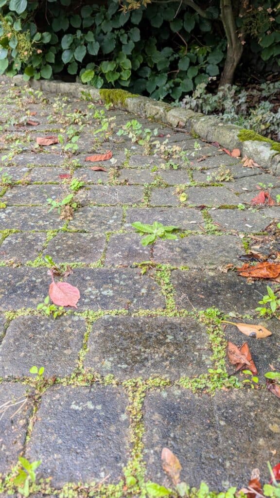 does your patio or driveway need a deep clean?