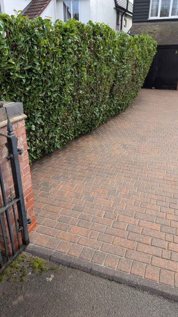 patio cleaning at affordable prices, great results